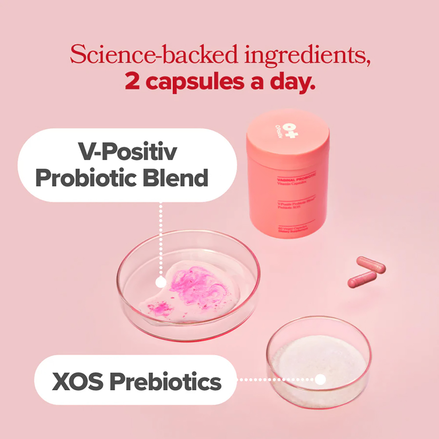 Vagianl Probiotics for Women p - огляд і ціна Probiotics Women Health